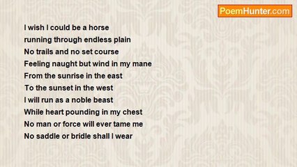 Glaedr the poet - Wishing I Was a Horse