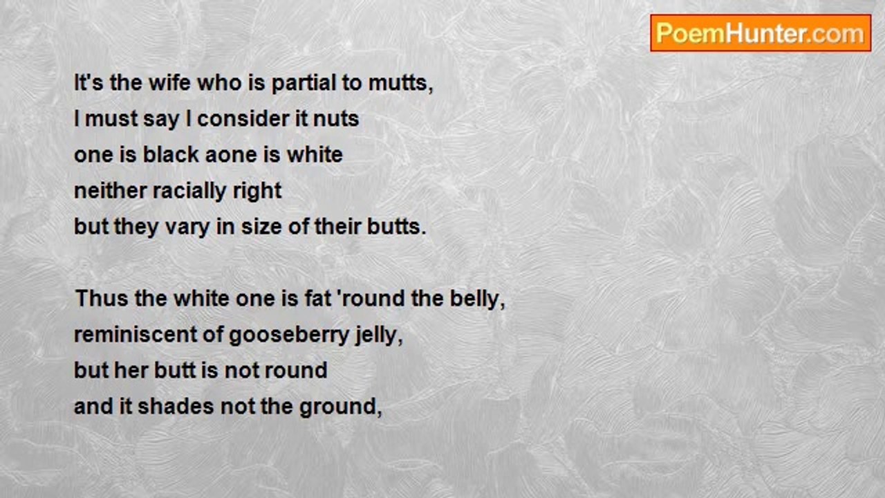 Herbert Nehrlich - Mutts And Butts