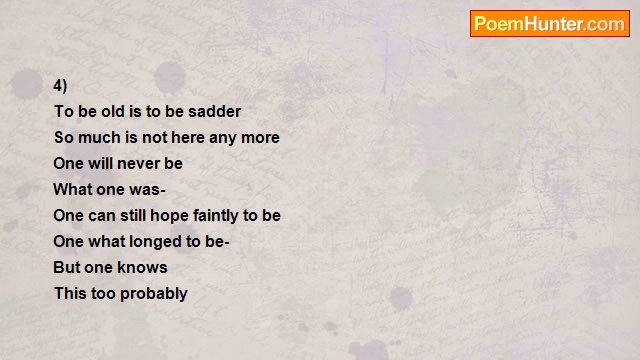 Shalom Freedman - When We Were Young