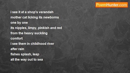 john tiong chunghoo - Comfort