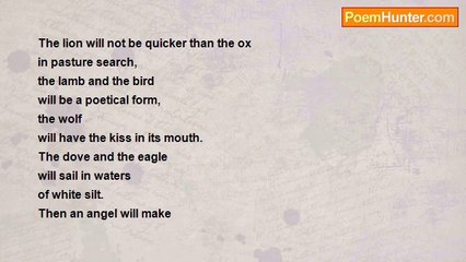 João Tomaz Parreira - The Millennium