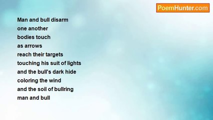 João Tomaz Parreira - The Bullfight