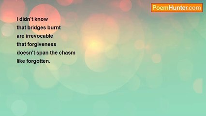 vince gullaci - Burning Bridges