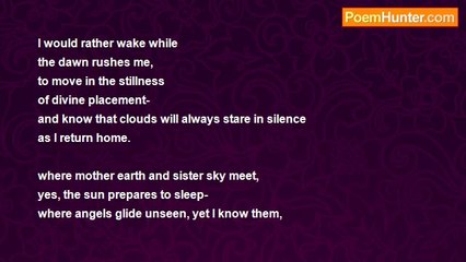 Amberlee Carter - where the sun sleeps