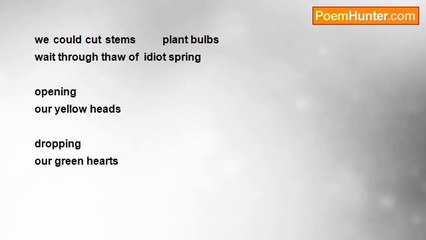 Tim Gavin - Idiot Spring