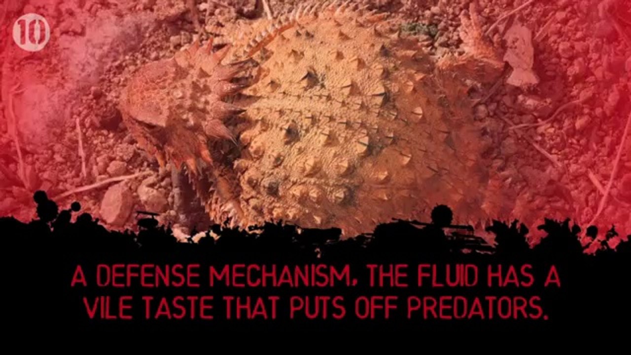 10 Disgusting Facts About Blood