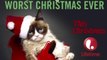 Grumpy Cat to Star in 'Home Alone' Meets 'Die Hard' Holiday Film
