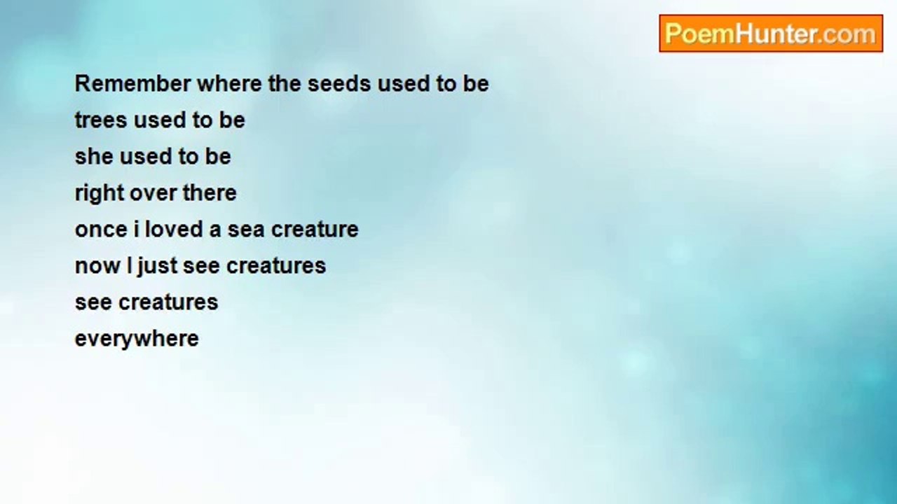 Brandon Adamson - Sea Creatures