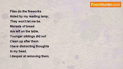 samuel nze - Flies Do The Fireworks