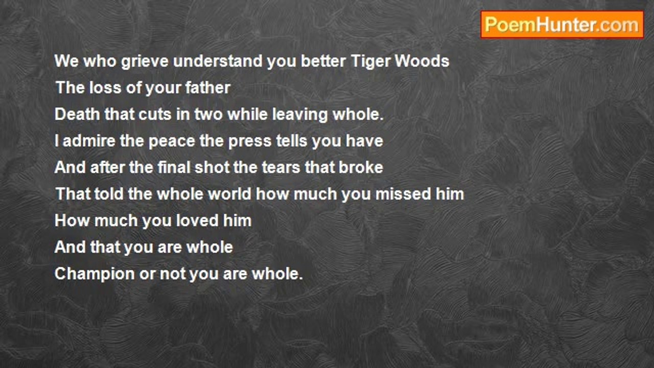 Bill Grace - The Tiger's Grief