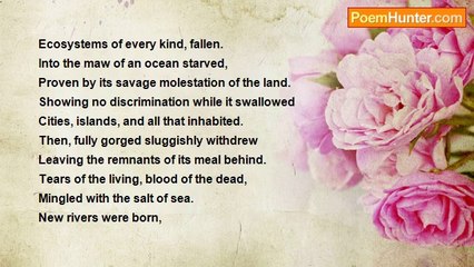 kathy koppang - A Brief Moment Out of Time