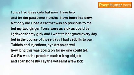 sylvia spencer - Cat Flu