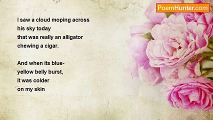 W.B. Keckler - Richard Brautigan Alligator Rain Poem