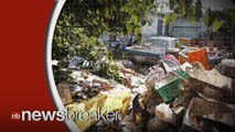 Hoarder Found Dead on Her Santa Ana Porch; 60 Cats Discovered on Property