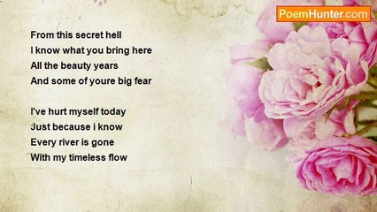 robert ravenšćak - Tribute to Johnny Cash