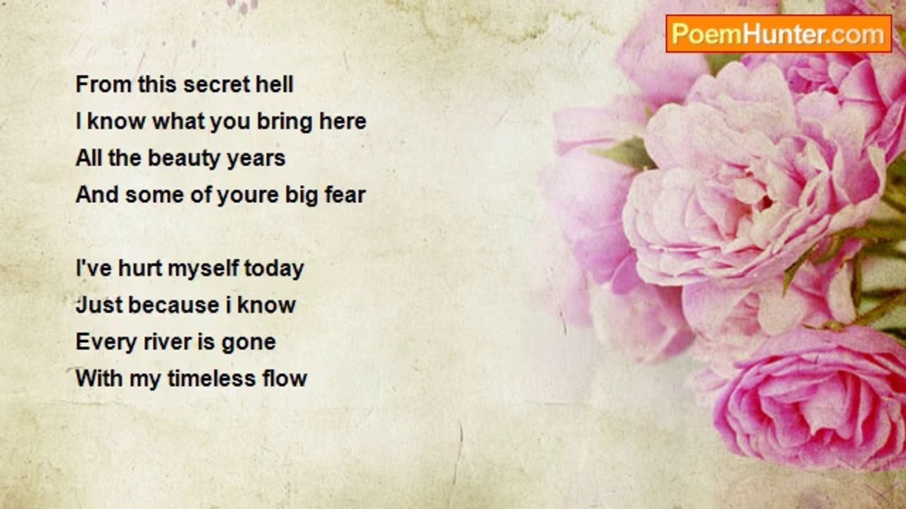 robert ravenšćak - Tribute to Johnny Cash