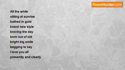 Sean Furlong - Clear and Present Love