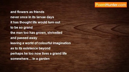 john tiong chunghoo - The larvae