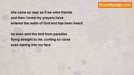 john tiong chunghoo - After I prayed for the animals