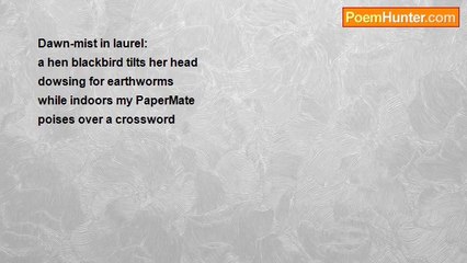 Richard George - Matin Tanka