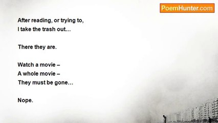 Lee Ann Schaffer - The Study of Tears