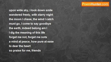 Beo Nguyen - I do not sleep