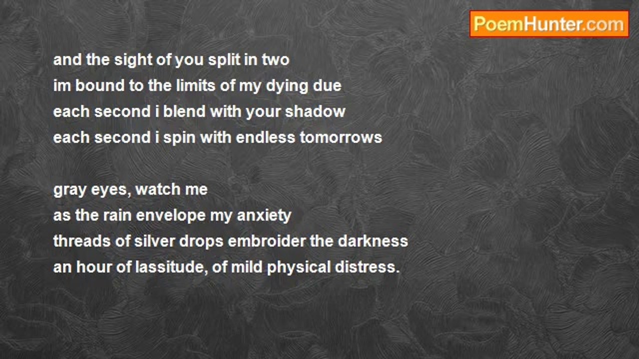Velvet Astraea Dido - Confined by Time