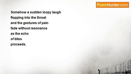 Charles Chaim Wax - The Fifth Secret of the Universe