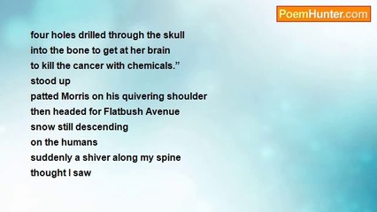 Charles Chaim Wax - First snow of the year