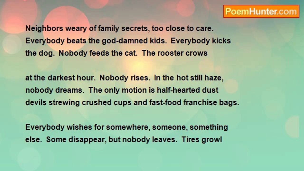 Eric Paul Shaffer - White Trash Landscape