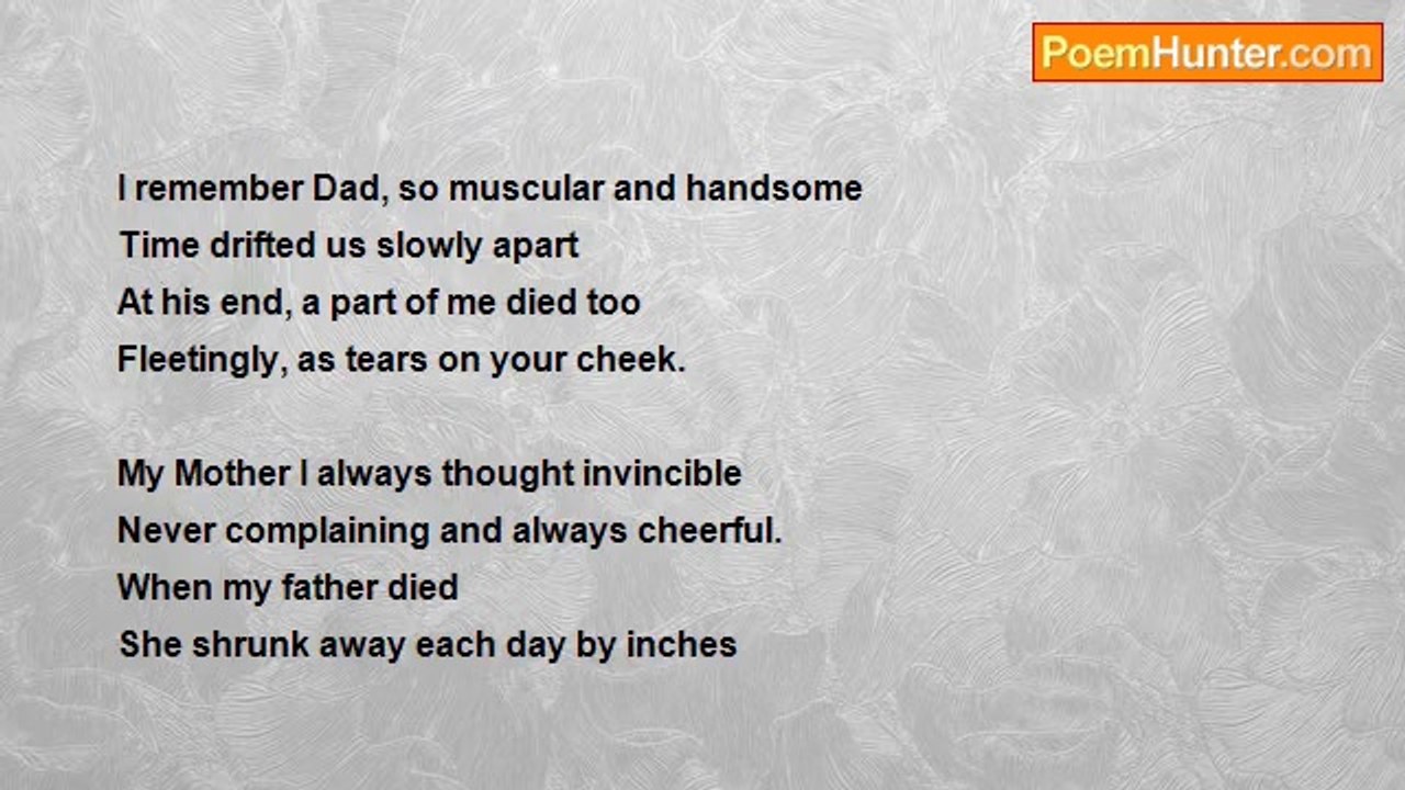 willow moon pearce - IN MEMORIUM