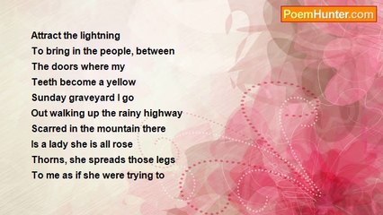 Robert Rorabeck - The Bearded Lady