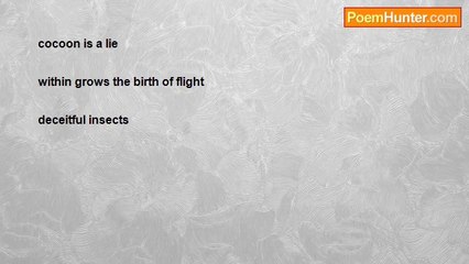 michelle soares - Butterfly haiku