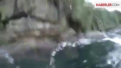 Denize Giren Adam Köpekbalığıyla Karşı Karşıya Kaldı