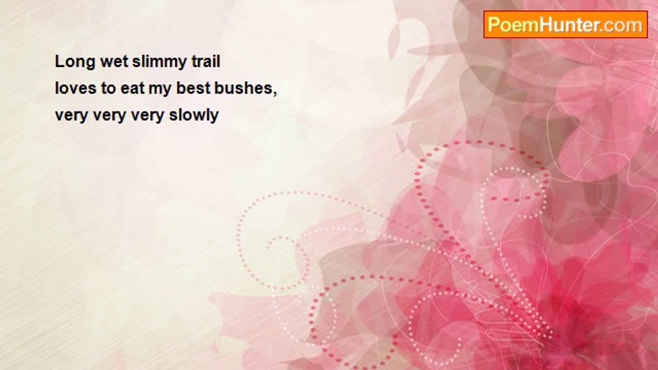 David Darbyshire - Snail (Haiku)