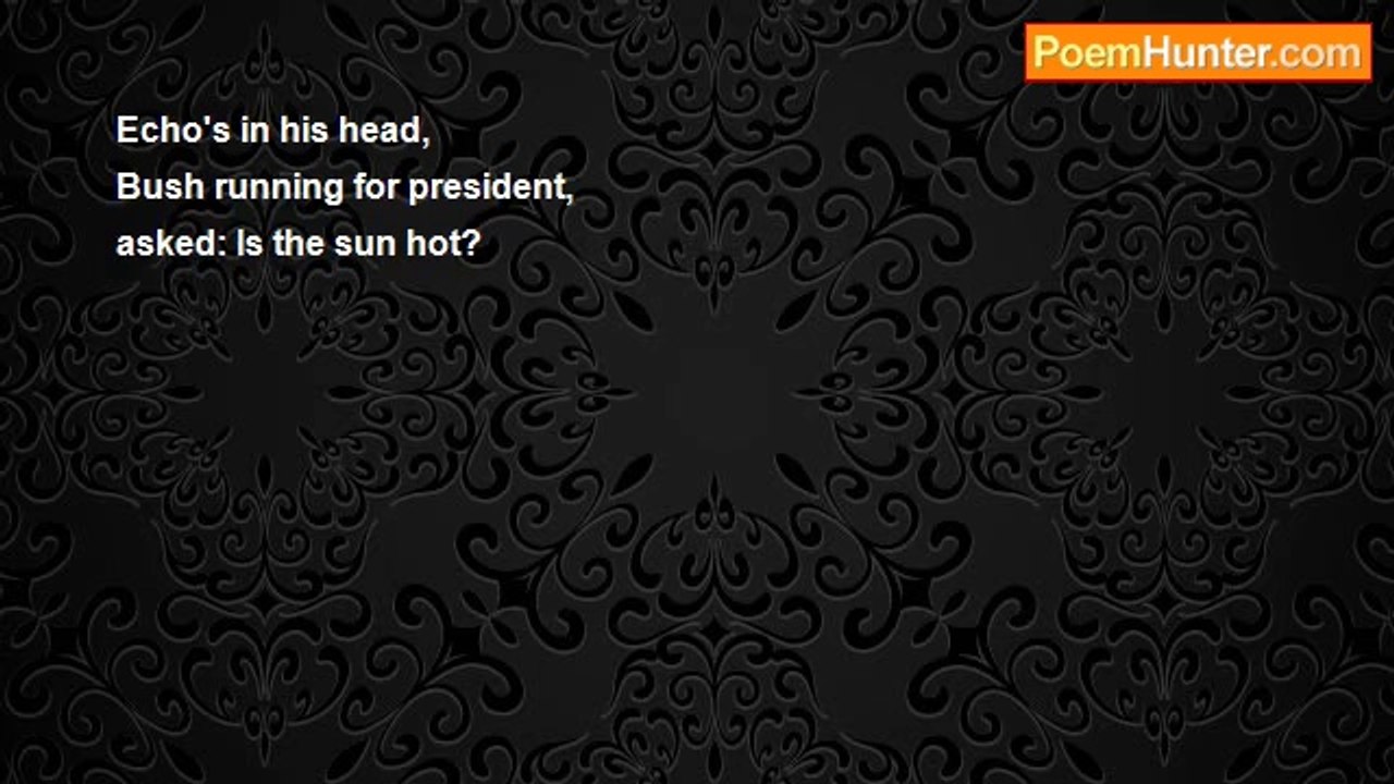 David Darbyshire - No-Brainer (haiku)