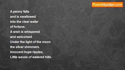 Not Long Left - Wishing Well (Revisited)