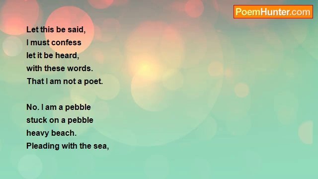 Not Long Left - Not a poet but a pebble