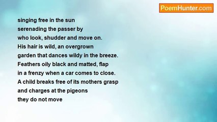 Not Long Left - The Drunk And The Pigeon