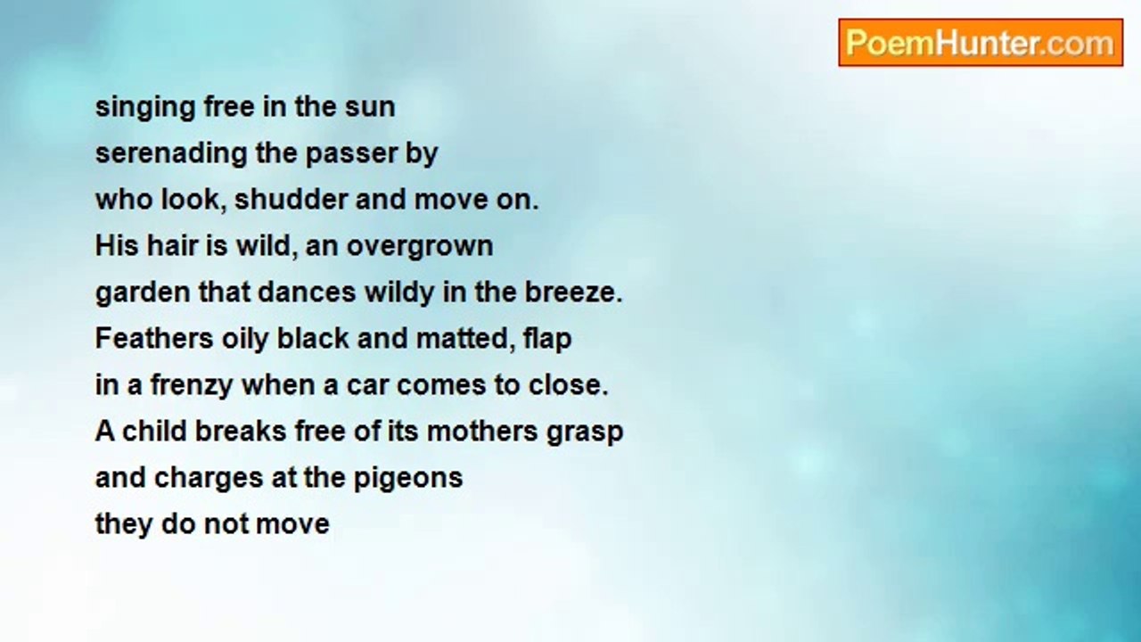 Not Long Left - The Drunk And The Pigeon