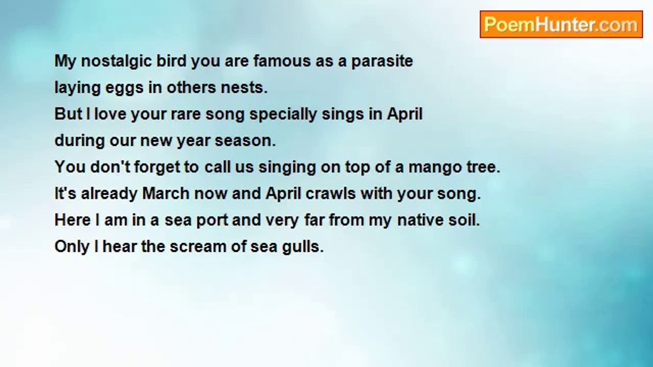 nimal dunuhinga - Cuckoo