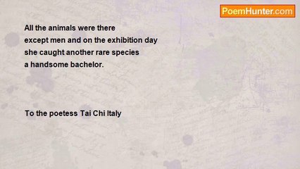 nimal dunuhinga - A Spinster's Menagerie