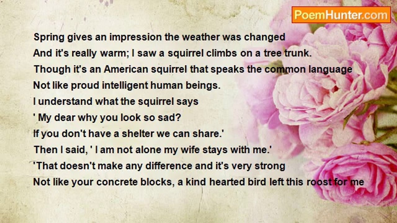 nimal dunuhinga - A roost on a Maple tree