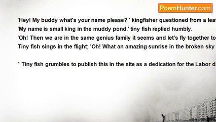 nimal dunuhinga - A kingfisher and a tiny scalloped fish