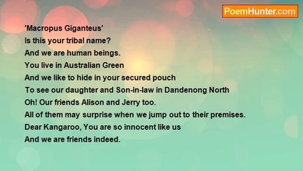 nimal dunuhinga - Eastern Grey Kangaroo