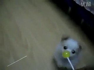 Lolipop Ancak Bu Kadar Tatlı Emilirdi..