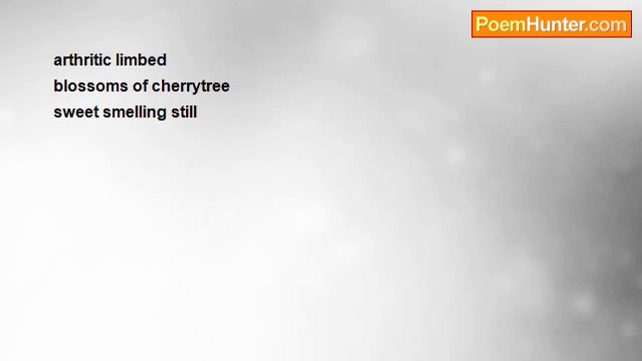 Richard Terrify - arthritic limbed (haiku)