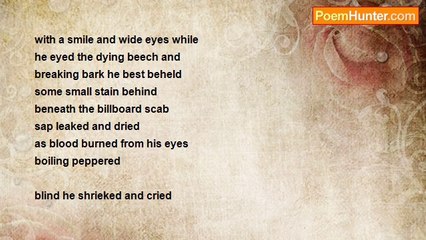 Sean Godley - Death is Blind