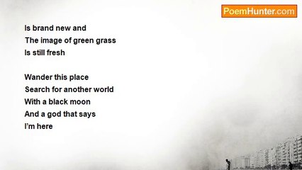 Ben Paynter - tonight i think ill let the winter take me