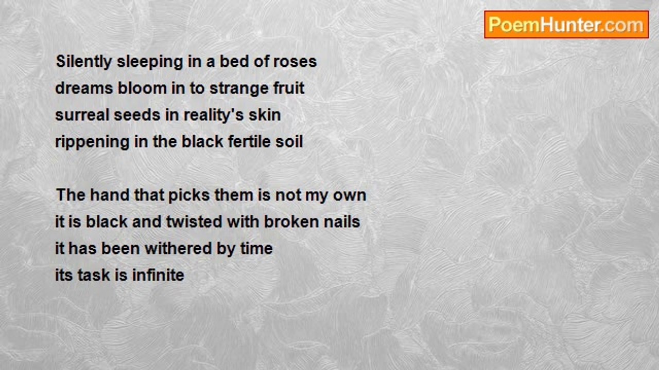 Rosa Mayfair - Lost Dreams